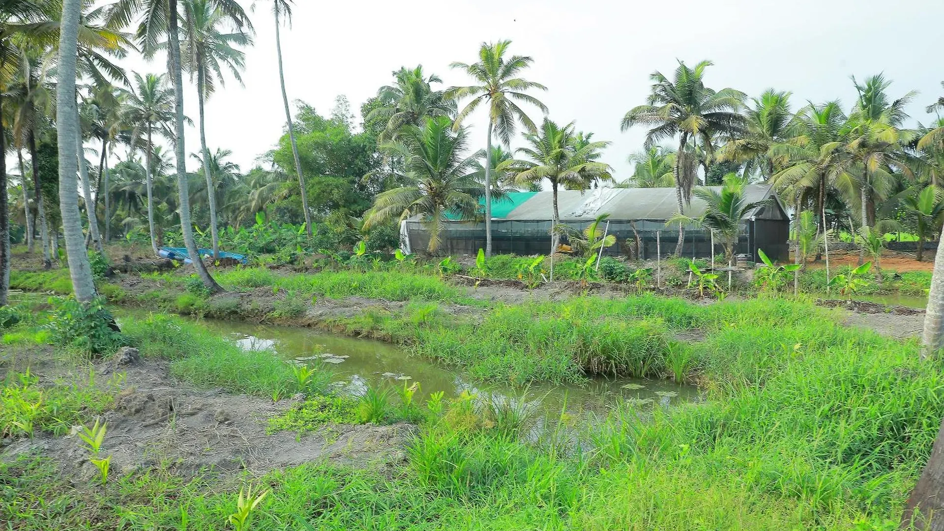 Фермерский дом Mulanthanam Resorts And Home Stay Champakulam Индия